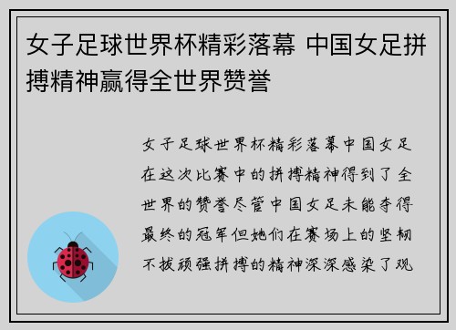 女子足球世界杯精彩落幕 中国女足拼搏精神赢得全世界赞誉